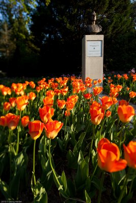 Frhling im Donaupark