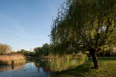 Frhling im Donaupark