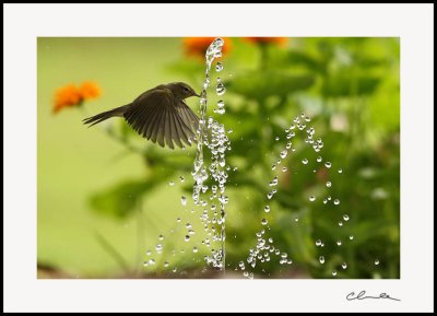 g3/97/530097/3/102492067.L1jS76b5.jpg