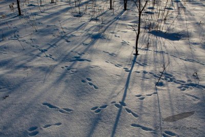 01/22/2010 - _MG_5403.jpg