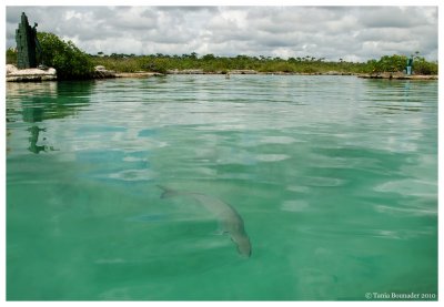 Yal-ku Lagoon