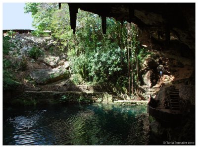 Inside the Cenote