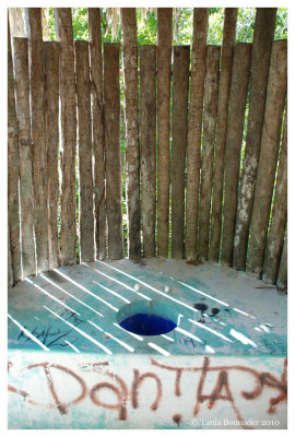 Public bathroom ... or tiny Cenote ?