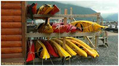 Kayaks