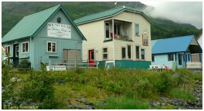 Typical houses