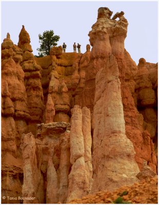 Folks on the rim