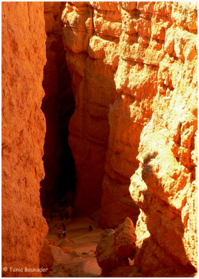 Hikers at the bottom