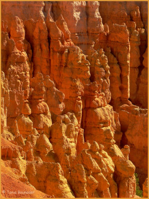 Totem like formations