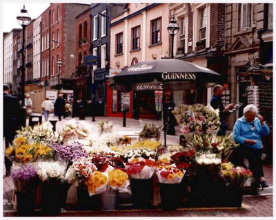 Flower shop in Dublin