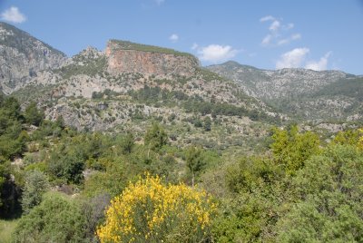 Pinara