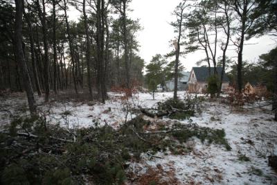 Windstorm from 12/9.