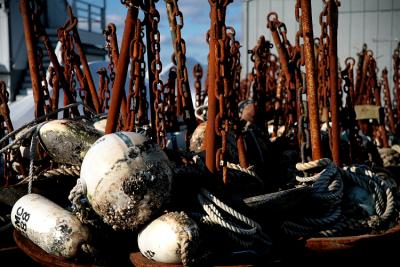 Wellfleet Harbor - Wellfleet, MA