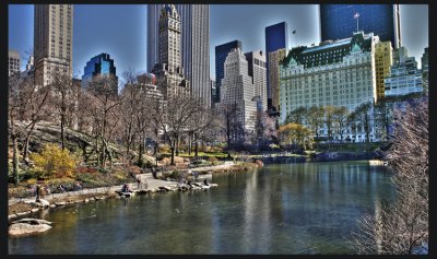 The Pond at Central Park