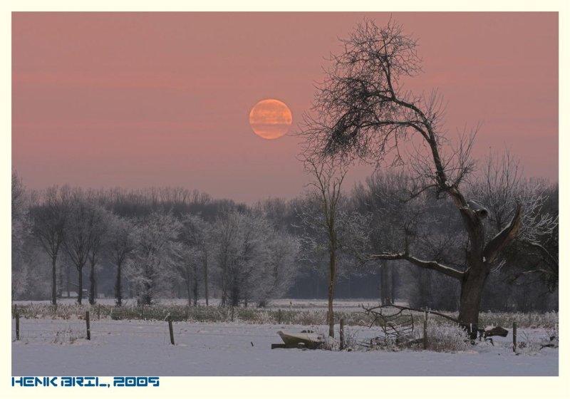 Low Winter Moon