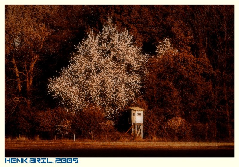 The Hunter's Hut - Jagershut - Spring/Lente