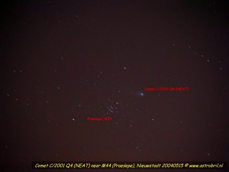 Comet Neat near Praesepe
