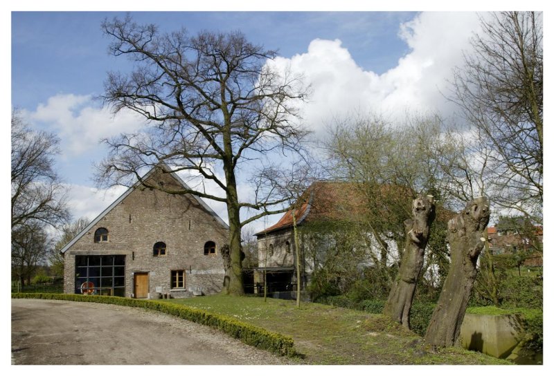 Blik op de Korenmolen vanaf de oprijlaan