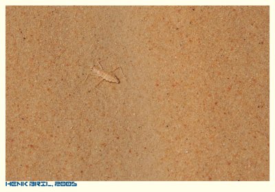 g3/97/570097/3/59053580.Kw5xpPDF.jpg
