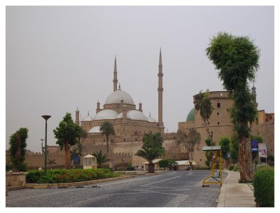 Mohammed Ali Mosque