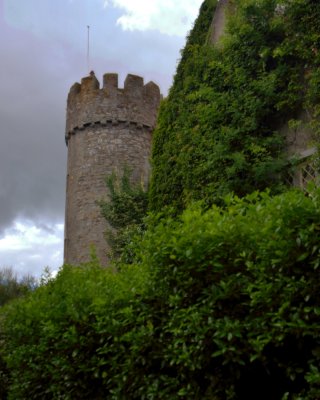 IMG_0373.jpg