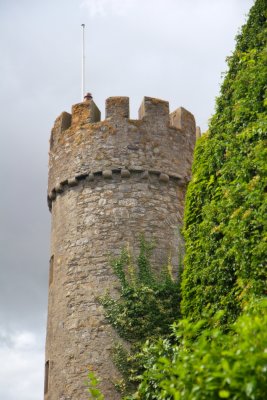 IMG_0374.jpg