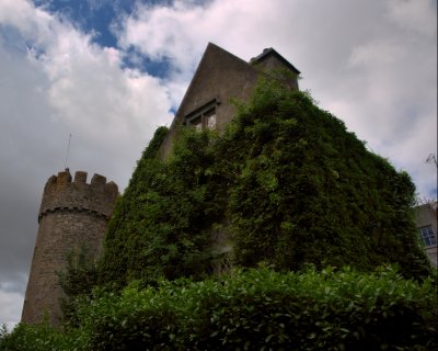 IMG_0375.jpg