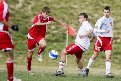 IMG_3129.jpg