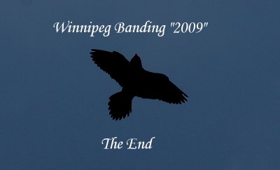g3/97/639797/3/114603905.R2RZP665.jpg
