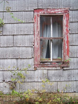 Abandoned cabin