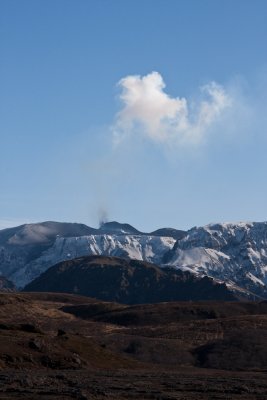 IMG_1541.jpg