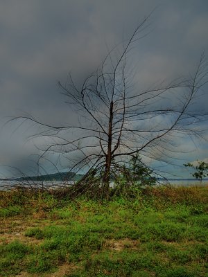 Punggol Solitude.jpg