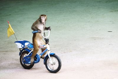 006Hainan2 Monkey Island.jpg