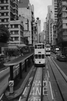 041 HK Trams.jpg