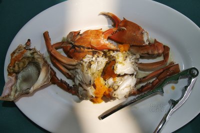 088 Lamma2 Crab.jpg