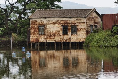 120 Mai Po Wetlands.jpg