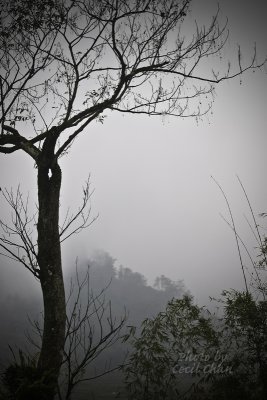 TaPhin Village misty morning.jpg