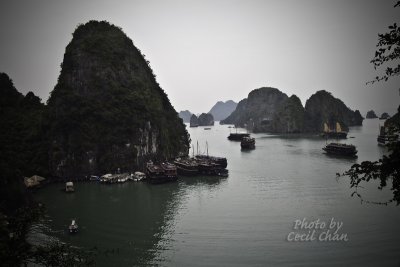 049HalongBay View from TipTop.jpg