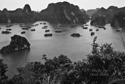 051HalongBay View from TipTop.jpg