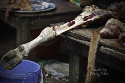 073Sapa Market Horse Meat.jpg