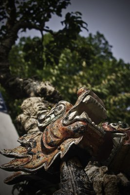 161Temple of Literature.jpg