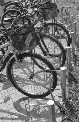 Bicycles.jpg