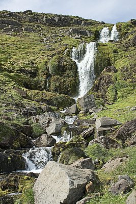 Foss