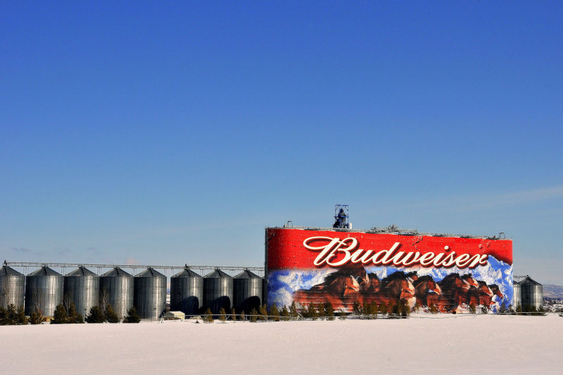 The Idaho Bud