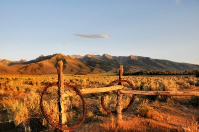 Sagebrush ... and more sagebrush