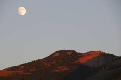 Moon over the Rubies