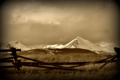 Jack leg in sepia