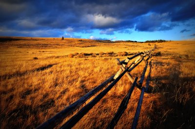 Fenceline infinity