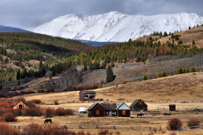 Mule Ranch, Mill Creek Road