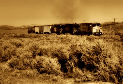 Desert train
