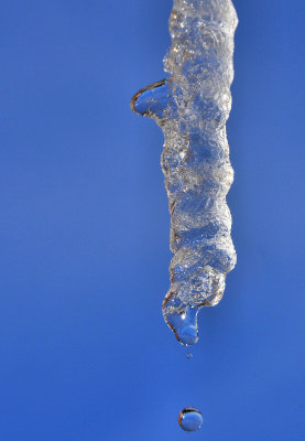 Icicle drips